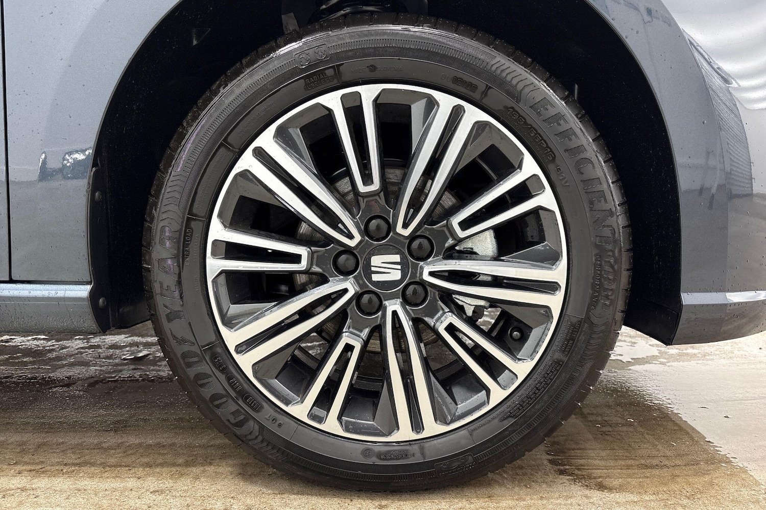 Used SEAT Ibiza 2025 for sale - 77161340: Photo 6