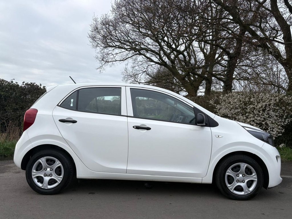 Used Kia Picanto 2023 for sale - 77780149: Photo 5