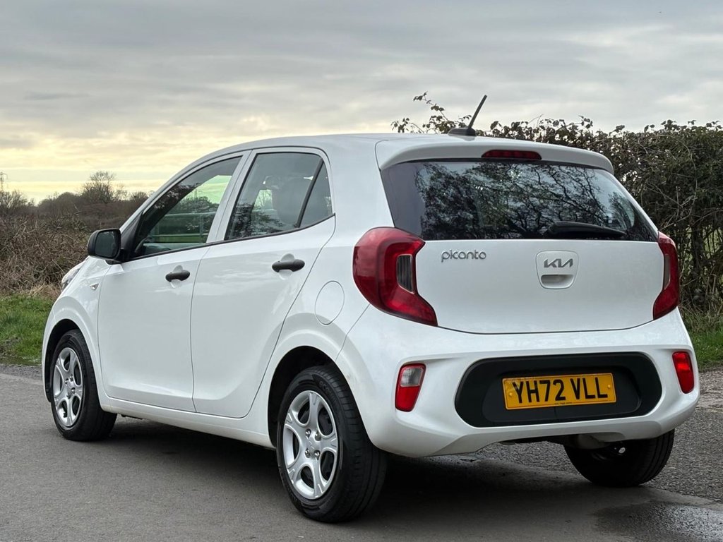 Used Kia Picanto 2023 for sale - 77780149: Photo 6