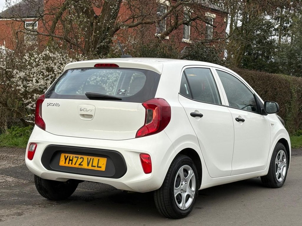 Used Kia Picanto 2023 for sale - 77780149: Photo 8