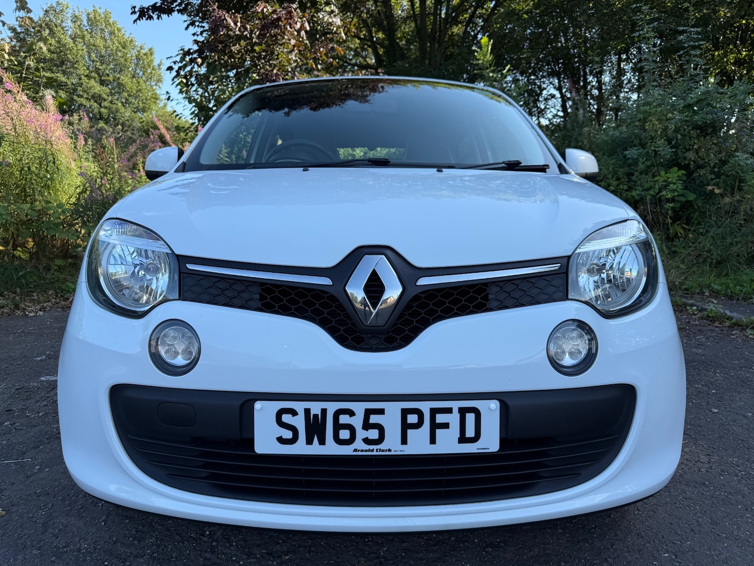 Vehicle 1