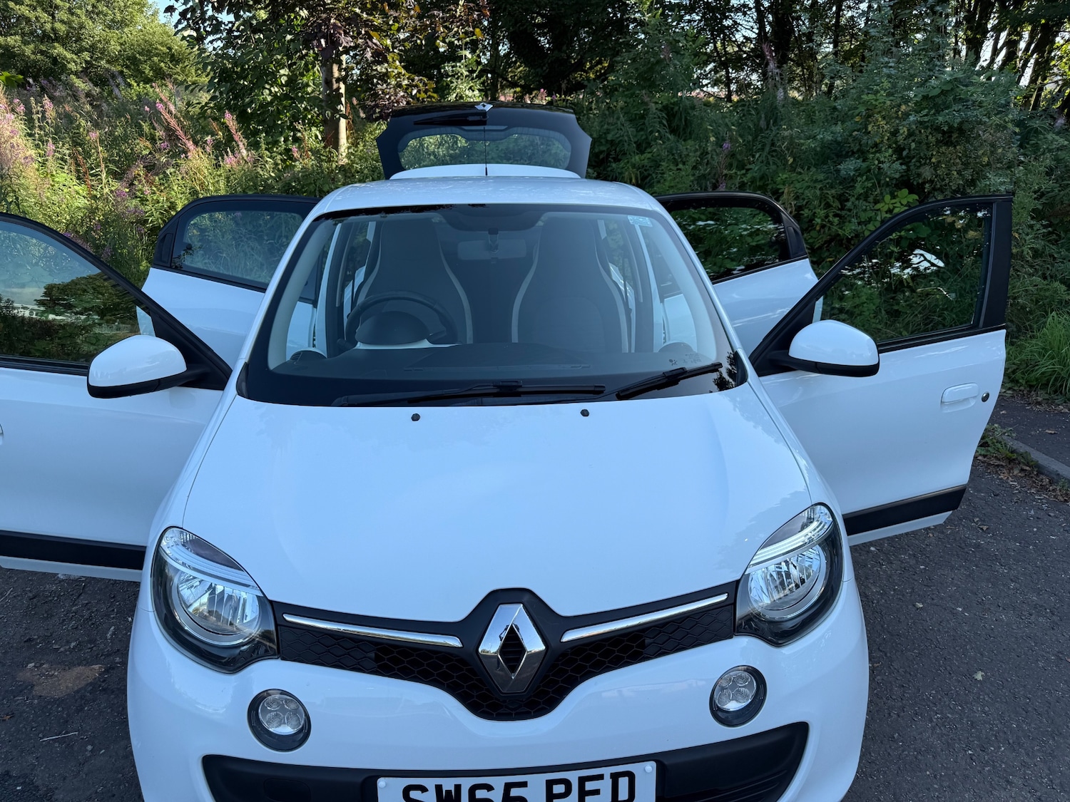 Vehicle 29