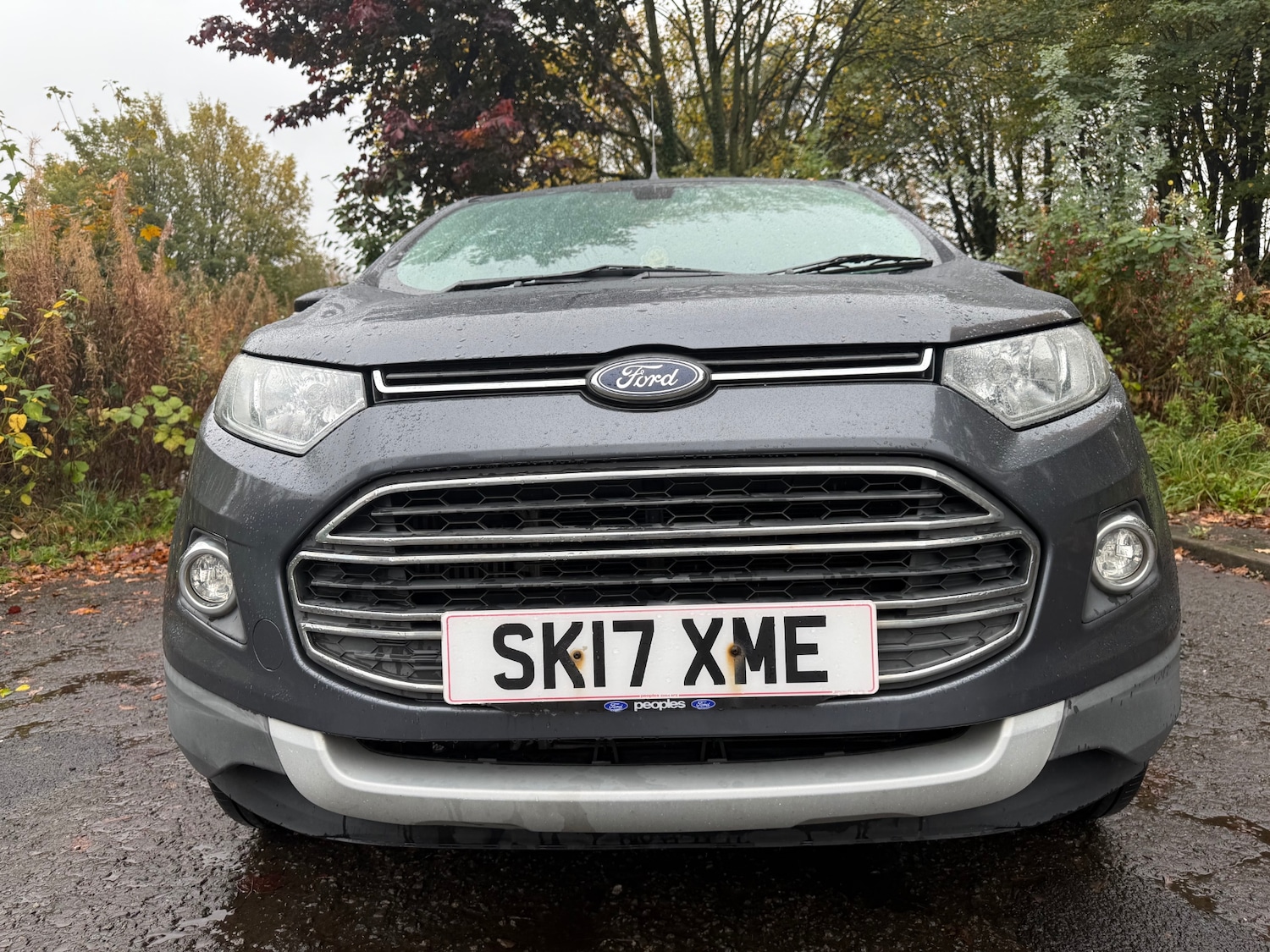 Used Ford Ecosport 2017 for sale - 76336046: Photo 1