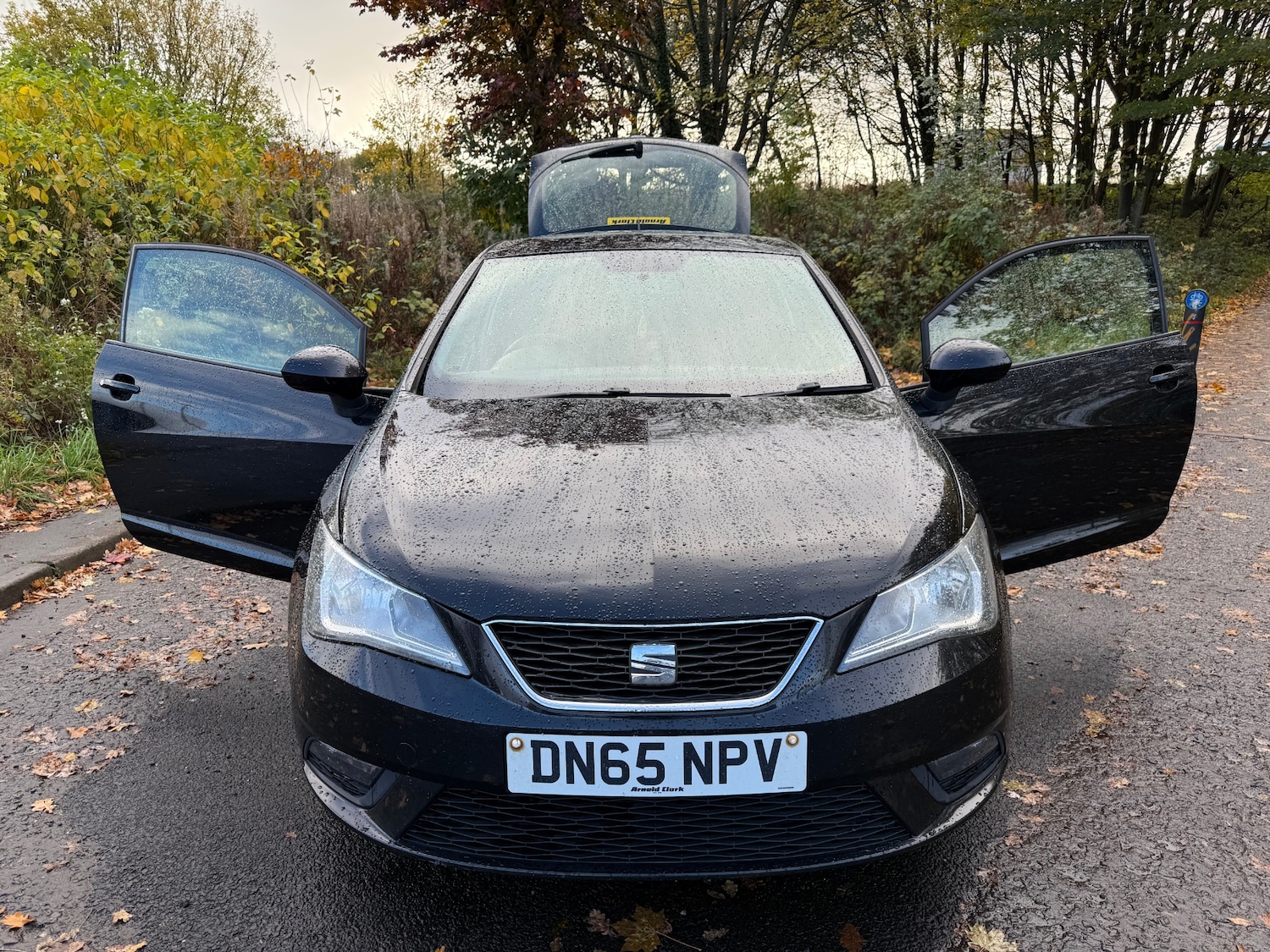 Used SEAT Ibiza 2015 for sale - 76407792: Photo 24