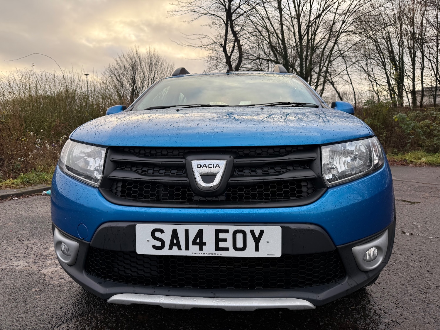 Used Dacia Sandero Stepway 2014 for sale - 76786955: Photo 1