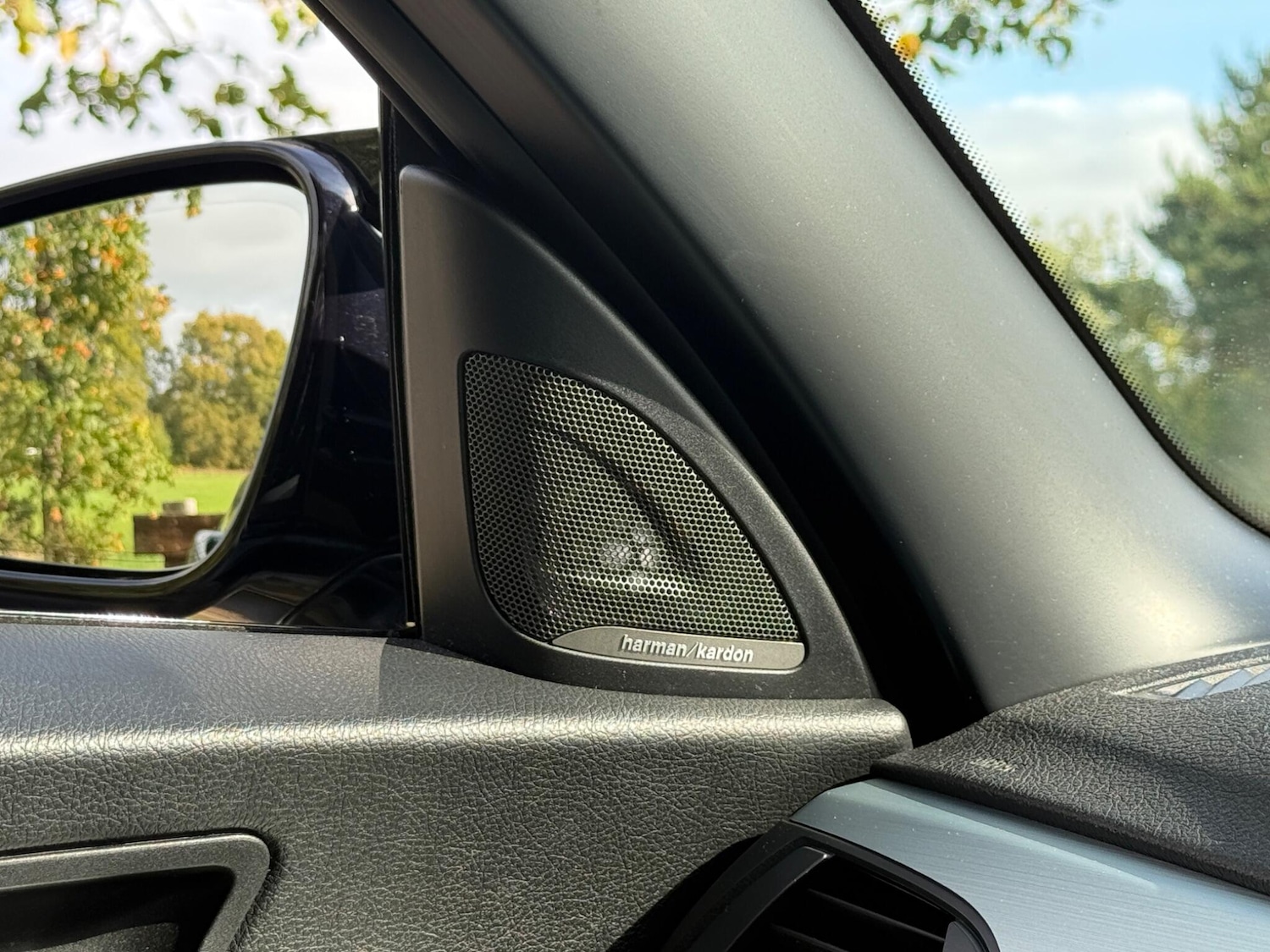 Used BMW 2 Series for sale - 76997801: Photo 45