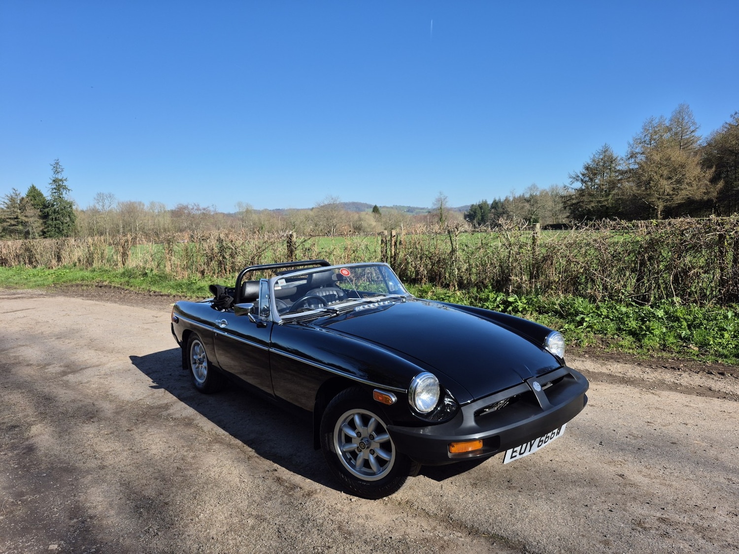 Used MG MGB 1980 for sale - 77968700: Photo 13
