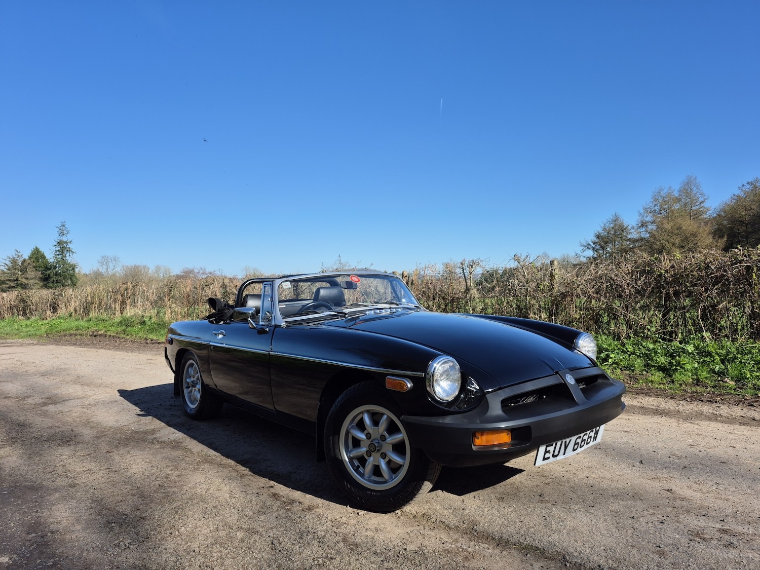 Used MG MGB 1980 for sale - 77968700: Photo 14