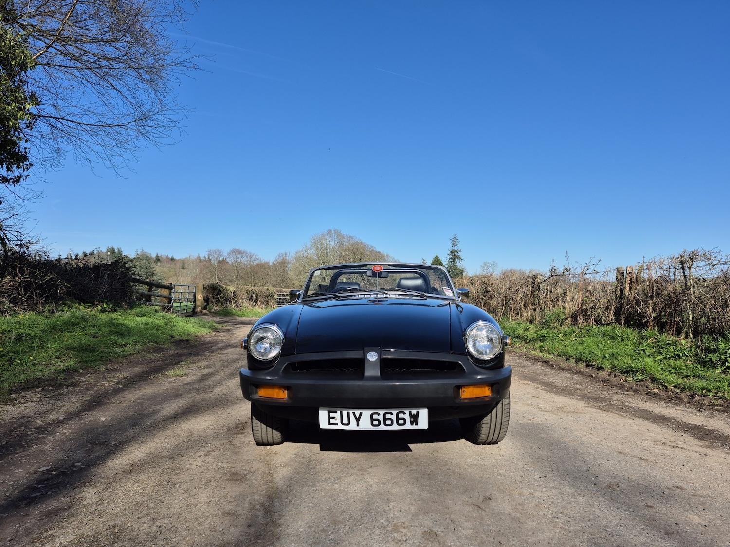 Used MG MGB 1980 for sale - 77968700: Photo 15