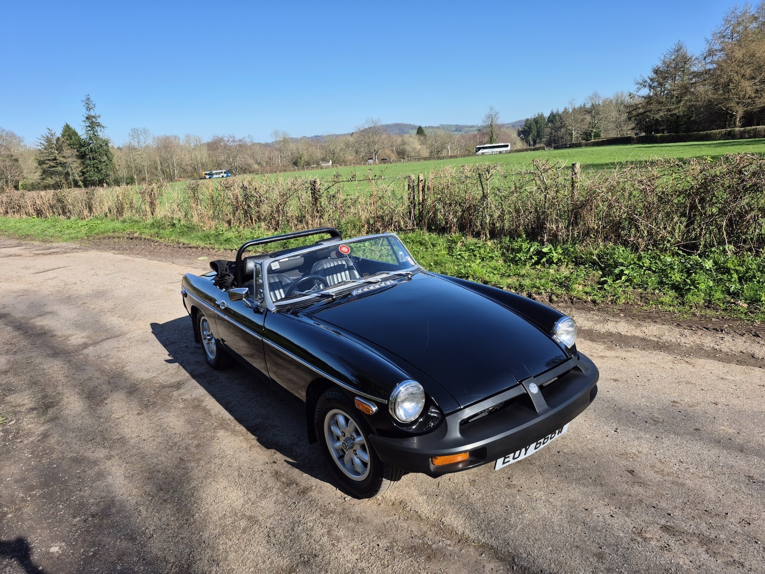 Used MG MGB 1980 for sale - 77968700: Photo 19