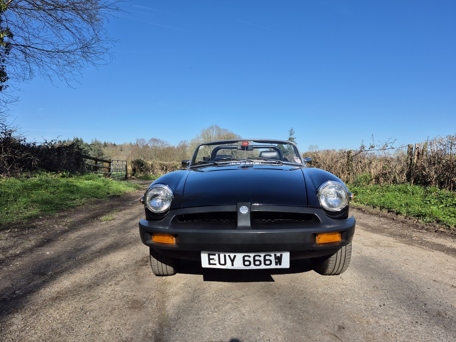 Used MG MGB 1980 for sale - 77968700: Photo 20