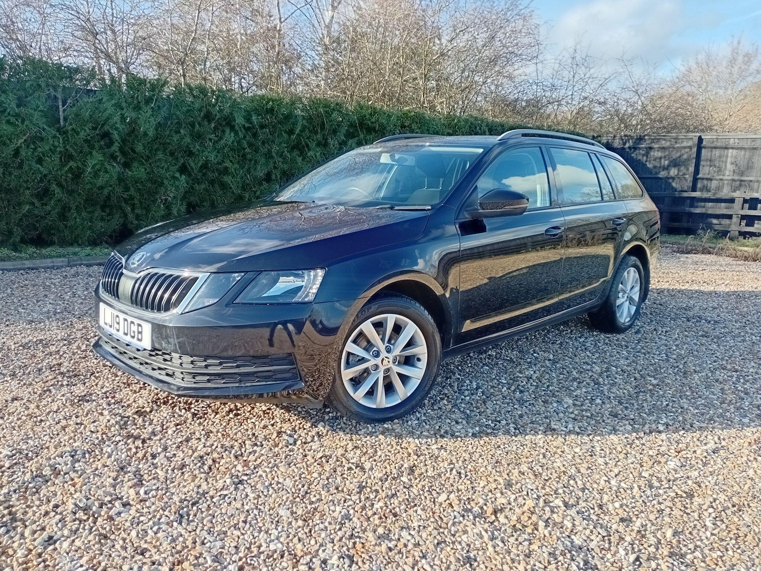 Used Skoda Octavia for sale - 77710335: Photo 1