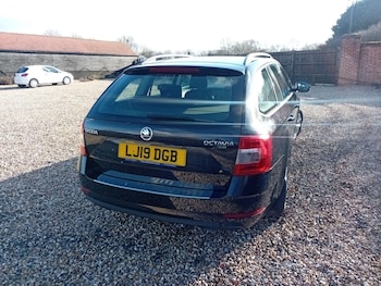 Used Skoda Octavia 2019 for sale - 77710335: Photo