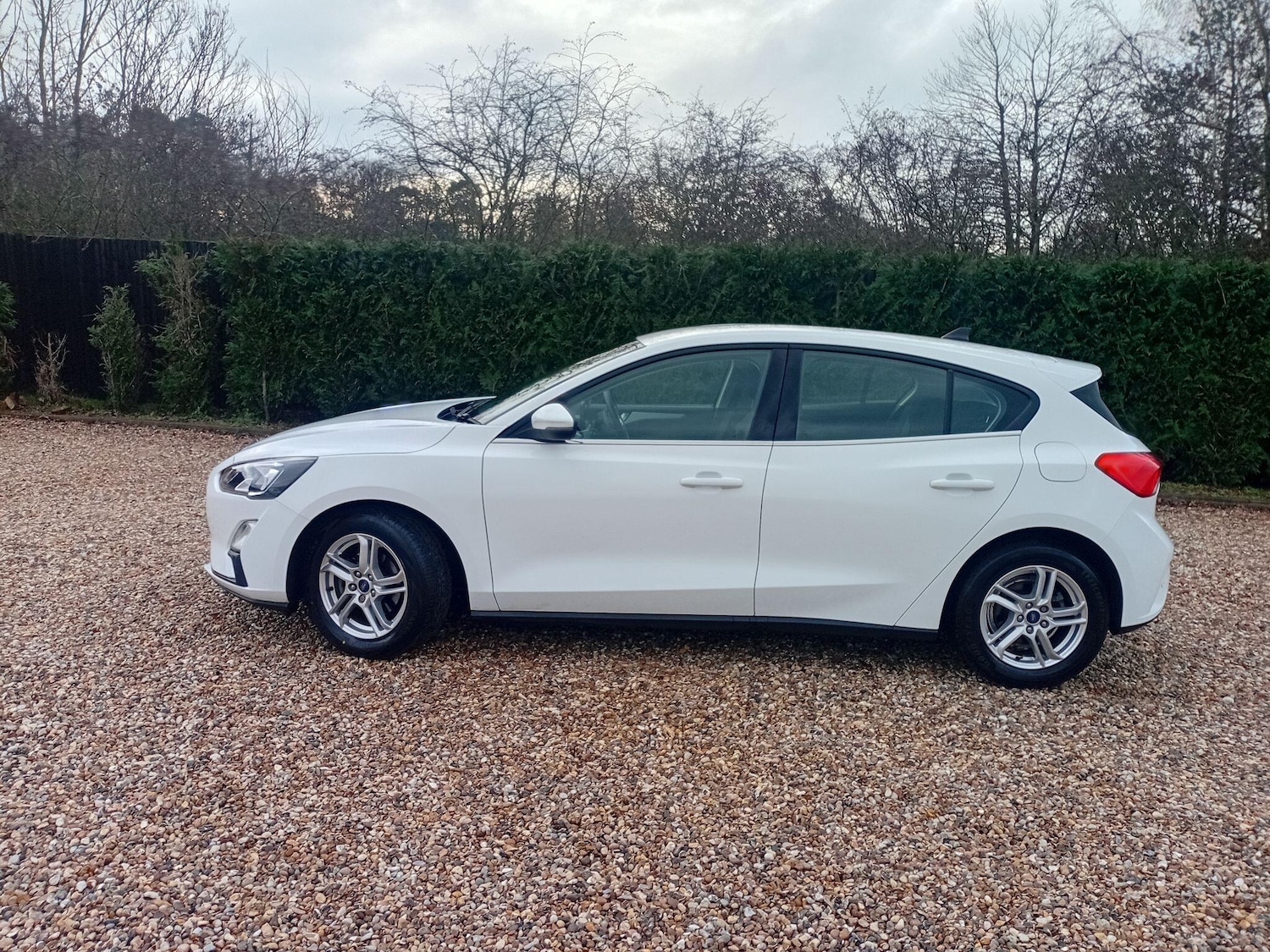 Used Ford Focus 2021 for sale - 77315257: Photo 3