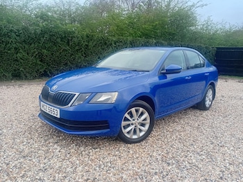 Used Skoda Octavia 2019 for sale - 78006464: Photo
