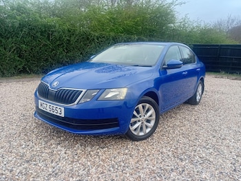 Used Skoda Octavia 2019 for sale - 78006464: Photo