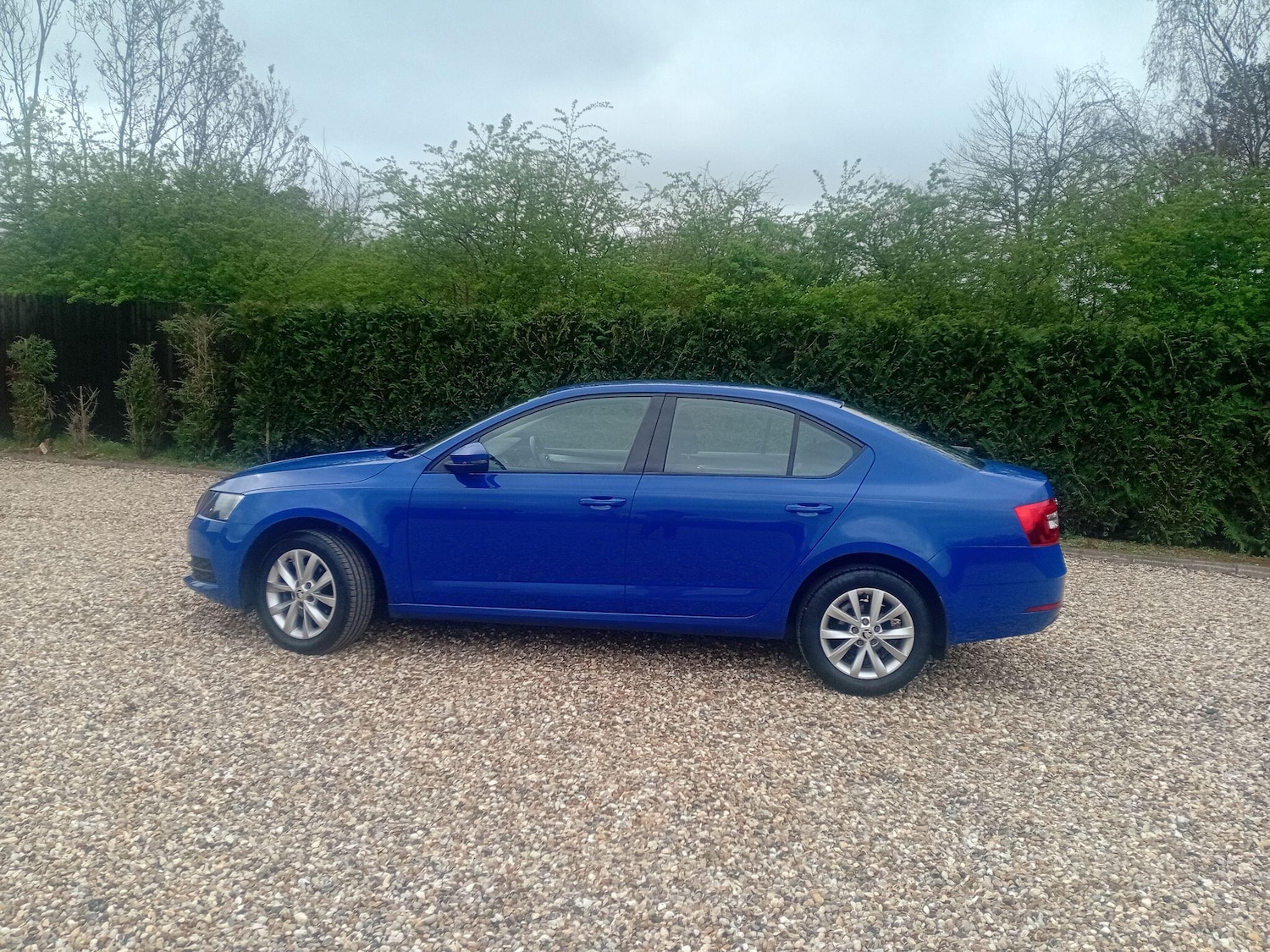 Used Skoda Octavia 2019 for sale - 78006464: Photo 3