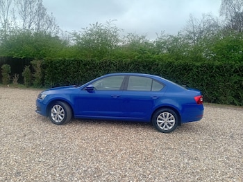 Used Skoda Octavia 2019 for sale - 78006464: Photo