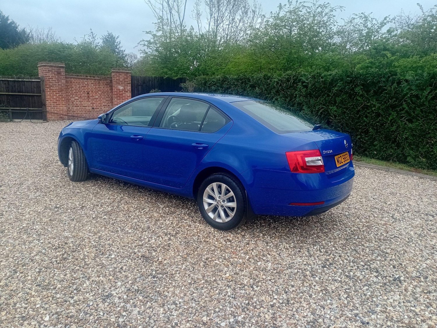 Used Skoda Octavia 2019 for sale - 78006464: Photo 4