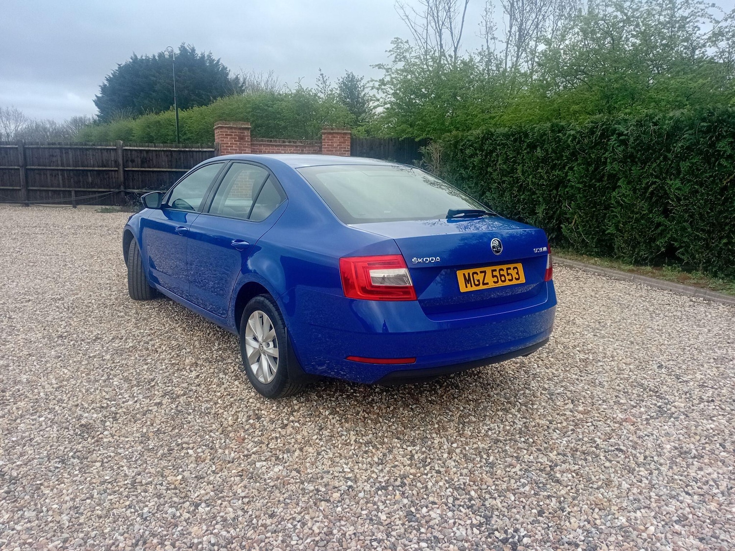 Used Skoda Octavia 2019 for sale - 78006464: Photo 5