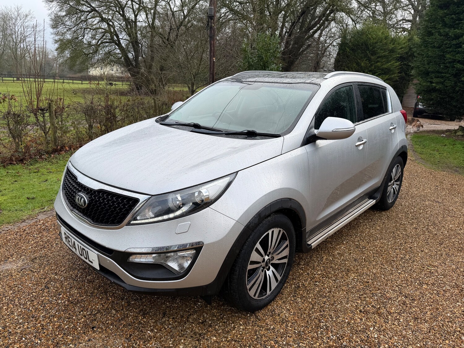 Used Kia Sportage 2014 for sale - 77382134: Photo 2