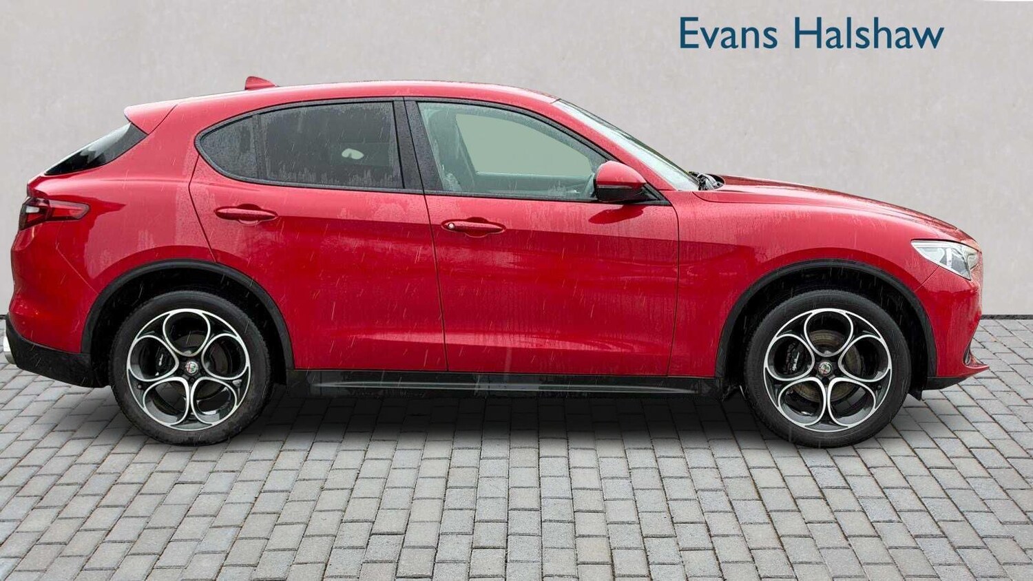 Used Alfa Romeo Stelvio for sale - 77962851: Photo 13