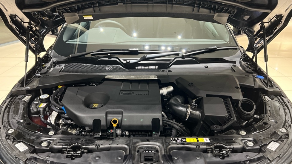 Used Land Rover Range Rover Evoque 2025 for sale - 76888808: Photo 30