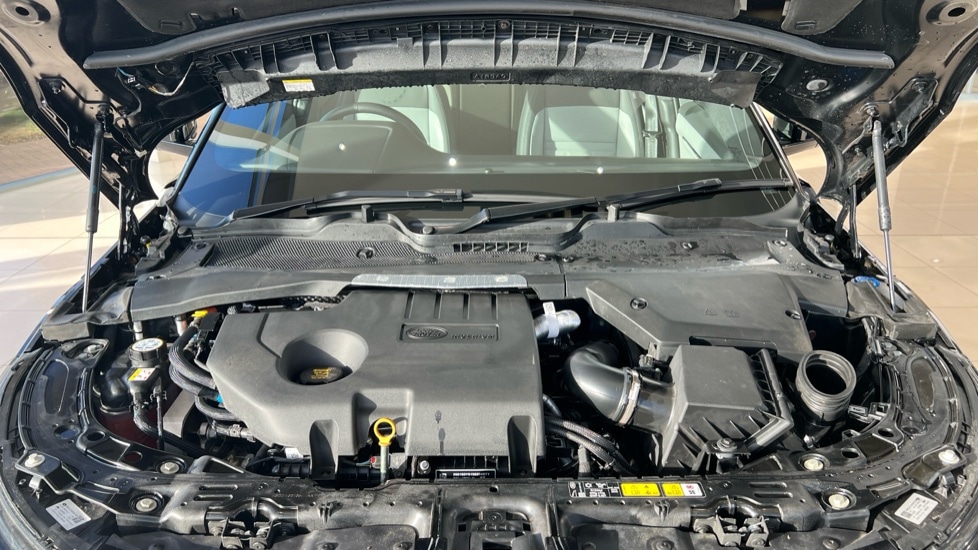 Used Land Rover Range Rover Evoque 2025 for sale - 76826823: Photo 30