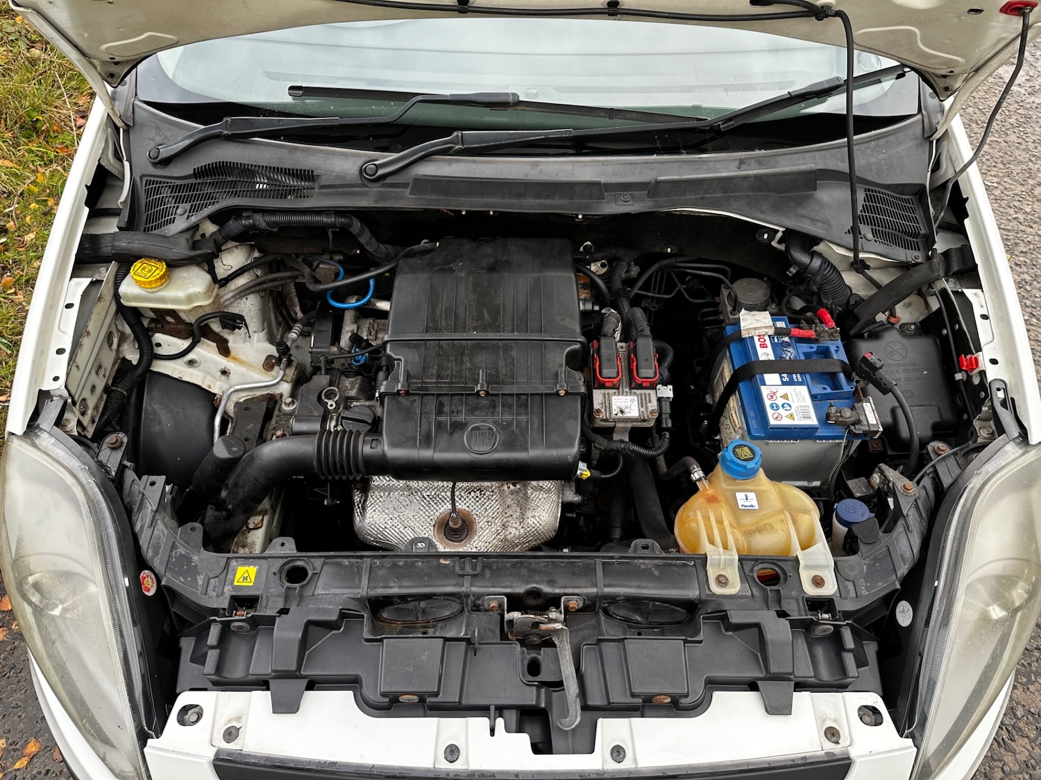 Used Fiat Punto Evo 2010 for sale - 76461892: Photo 24