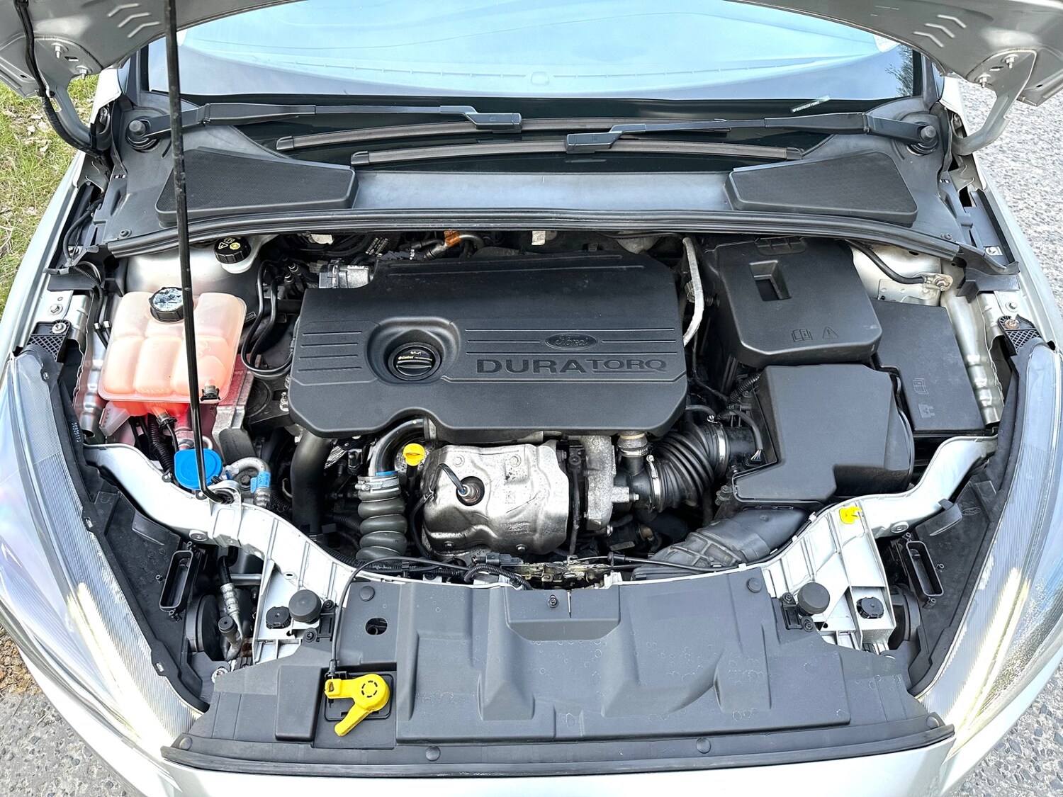 Used Ford Focus 2015 for sale - 78183093: Photo 45