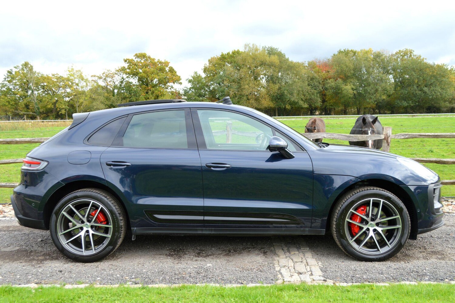 Used Porsche Macan for sale - 77343902: Photo 38