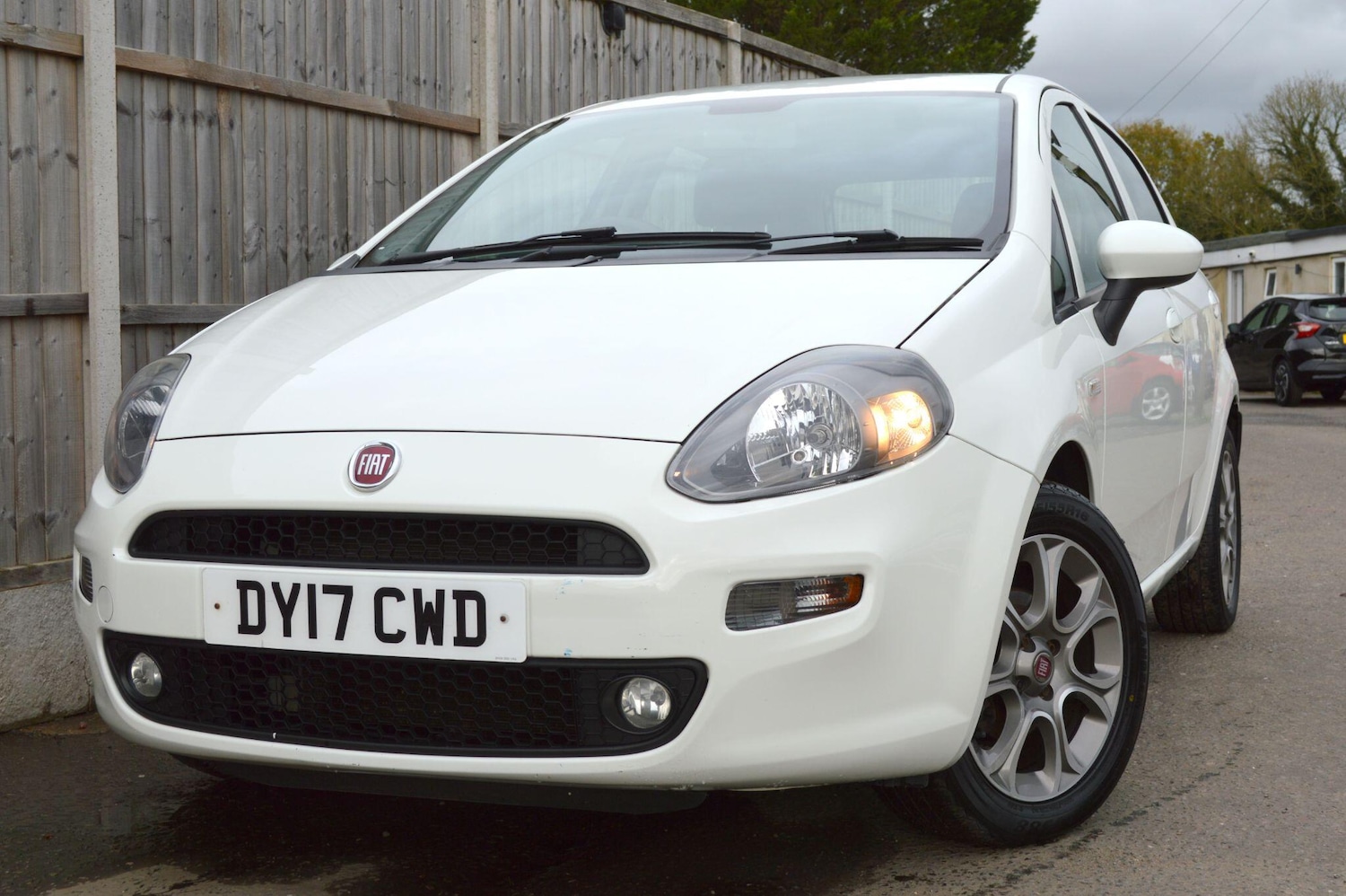 Used Fiat Punto 2017 for sale - 76424079: Photo 16