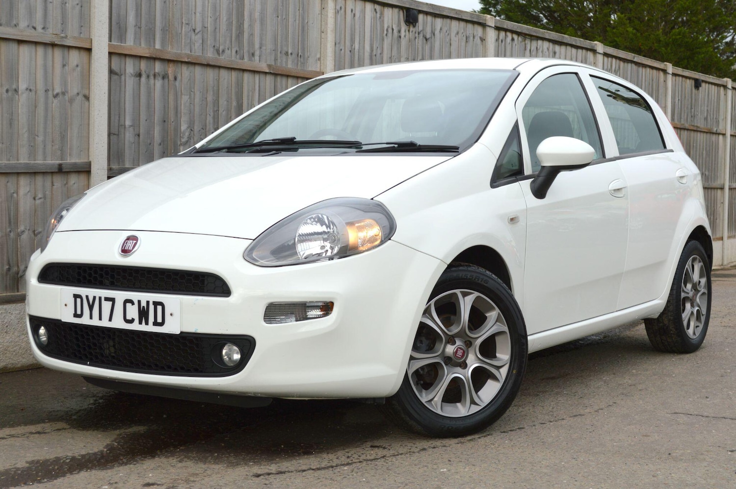 Used Fiat Punto 2017 for sale - 76424079: Photo 3