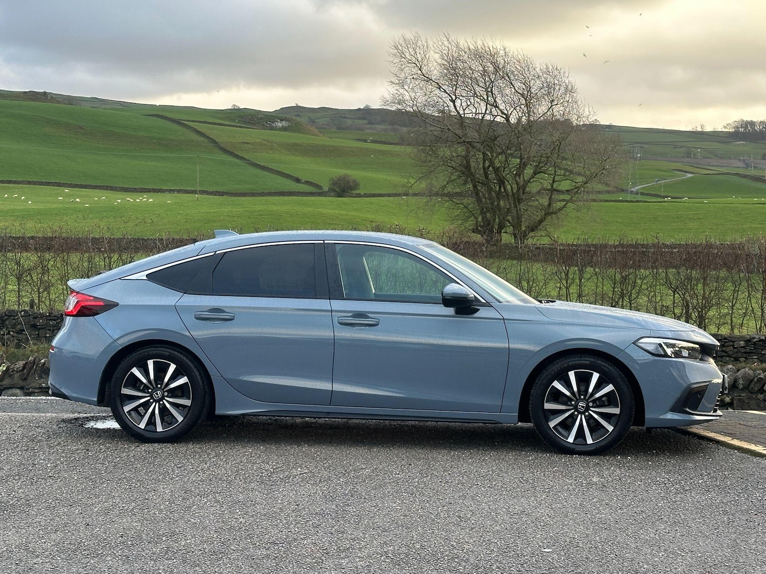 Used Honda Civic 2024 for sale - 76933526: Photo 3