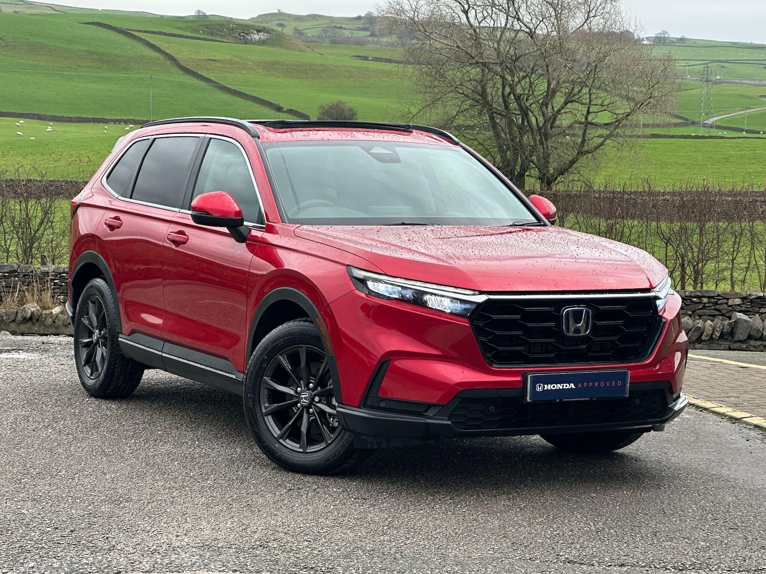 Used Honda CR-V 2024 for sale - 76933528: Photo 1