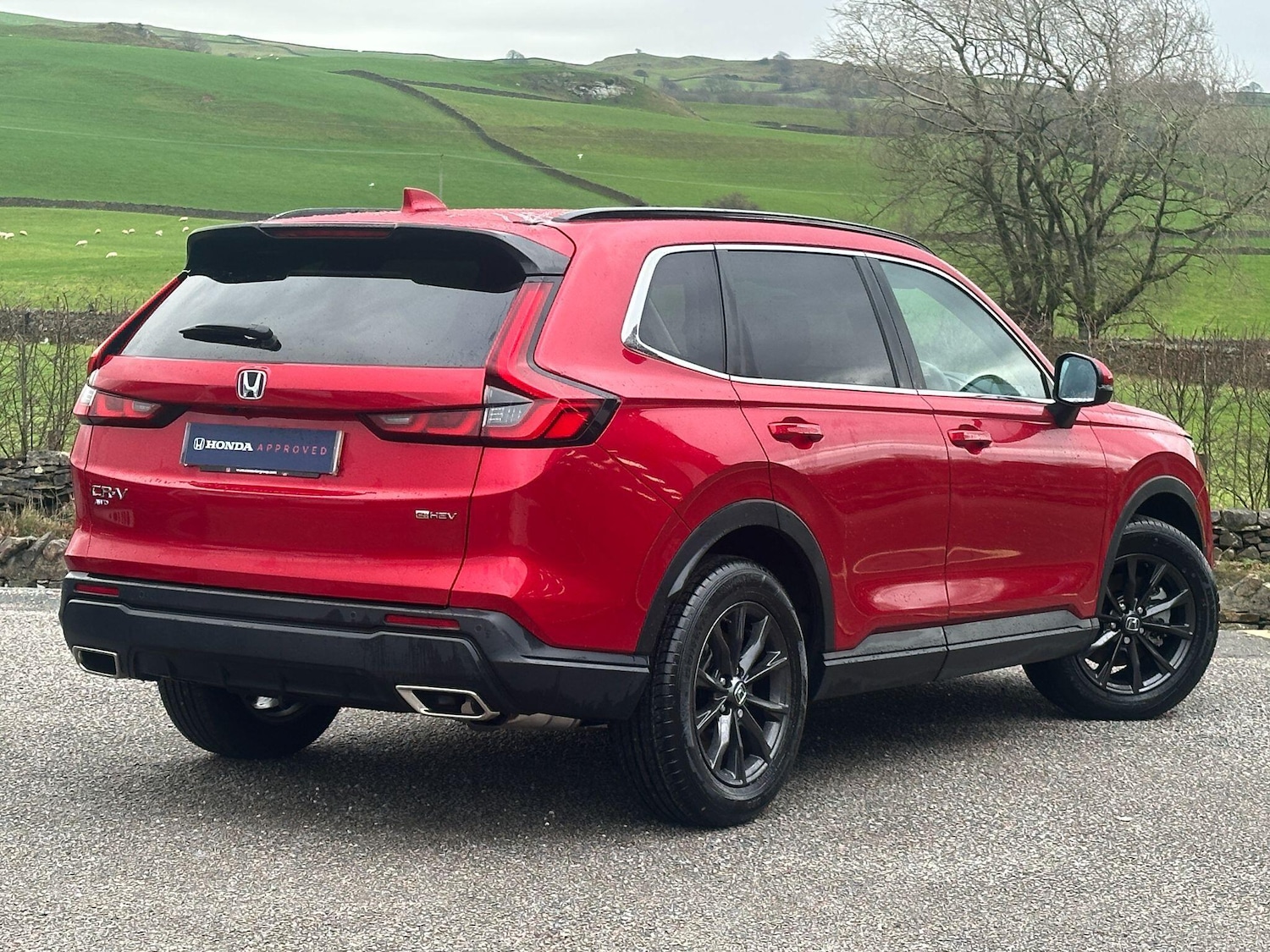 Used Honda CR-V 2024 for sale - 76933528: Photo 5