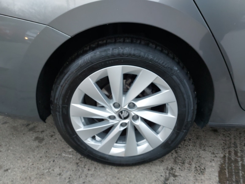 Used Skoda Octavia 2025 for sale - 77595953: Photo 12