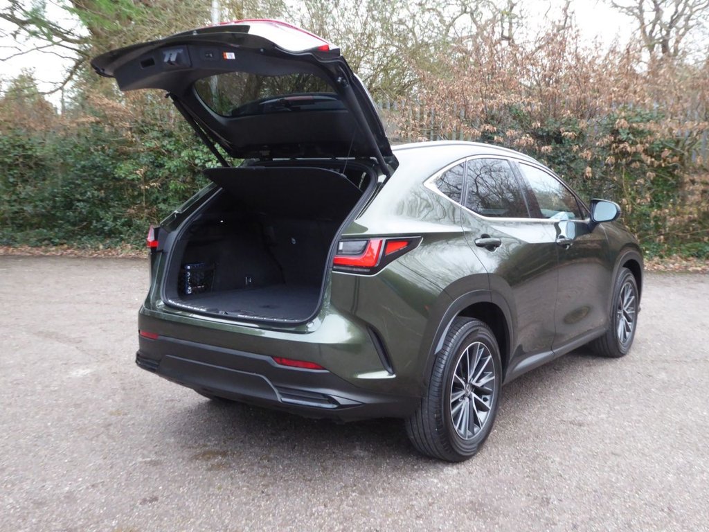 Used Lexus NX 2023 for sale - 77521213: Photo 13