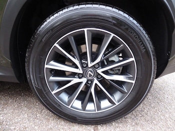 Used Lexus NX 2023 for sale - 77521213: Photo