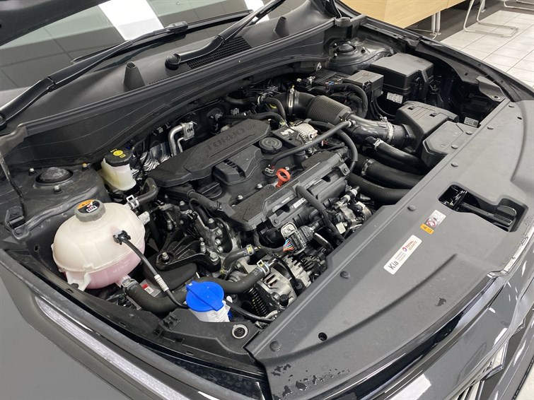 Used Kia Sportage 2025 for sale - 77388394: Photo 31