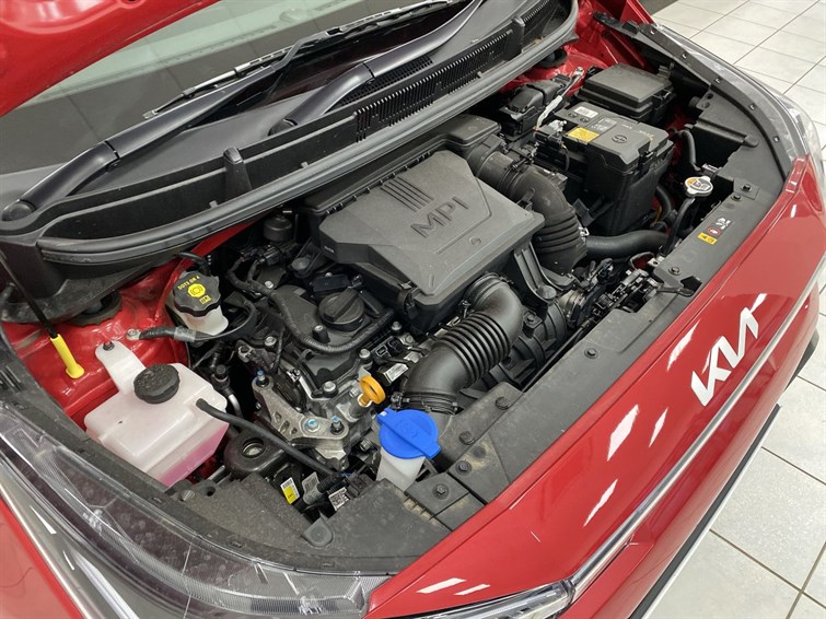 Used Kia Picanto 2025 for sale - 77239229: Photo 30