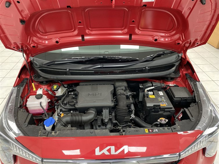 Used Kia Picanto 2025 for sale - 77210563: Photo 29