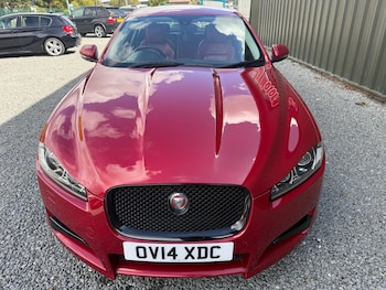 Used Jaguar XF 2014 for sale - 75952332: Photo