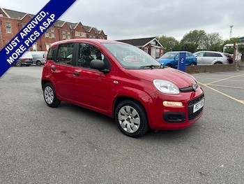 Used Fiat Panda 2017 for sale - 78479559: Photo