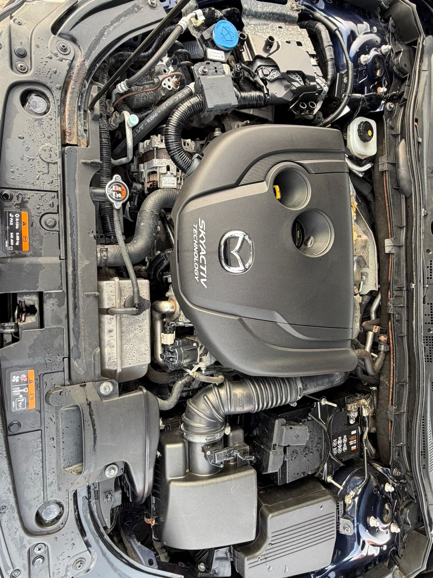 Used Mazda Mazda6 2013 for sale - 77966282: Photo 9