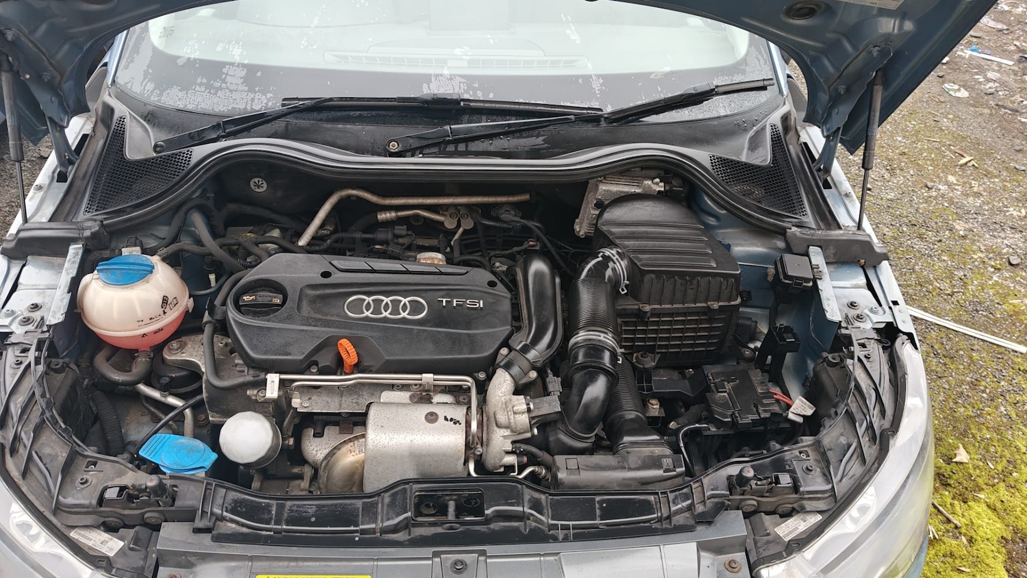 Used Audi A1 2011 for sale - 77774539: Photo 12