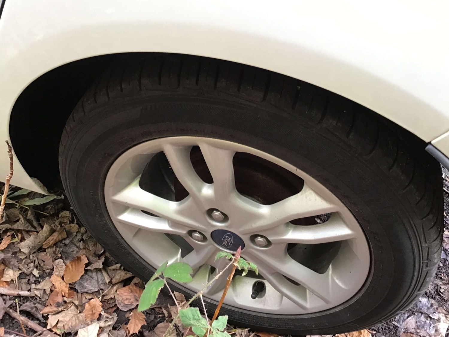 Used Ford Fiesta 2014 for sale - 76979414: Photo 13