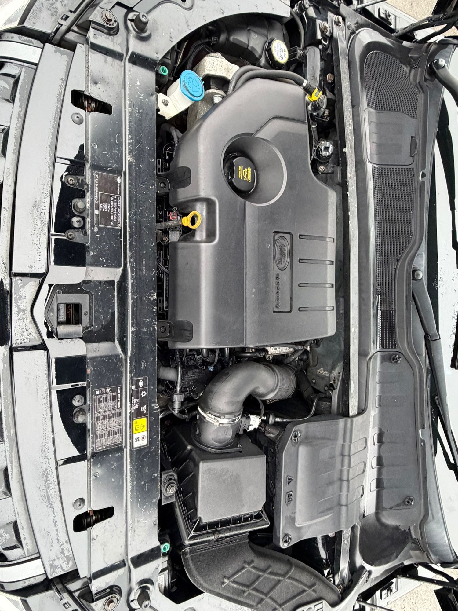 Used Land Rover Range Rover Evoque 2015 for sale - 77198757: Photo 9