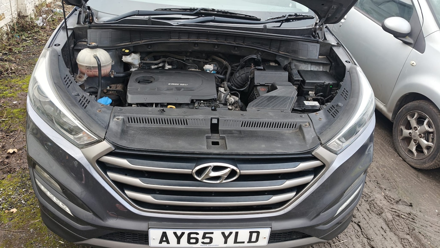 Used Hyundai TUCSON 2015 for sale - 77661997: Photo 13