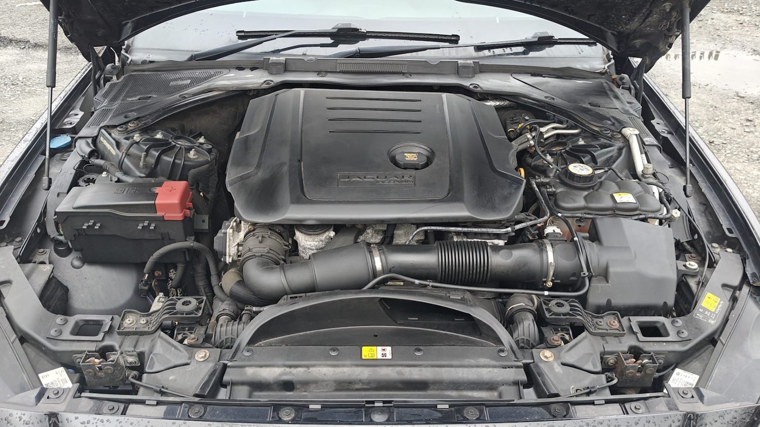 Used Jaguar XE 2018 for sale - 77700920: Photo 24